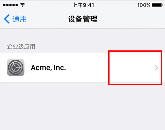 在 iPhone 设置中打开描述文件与设备管理