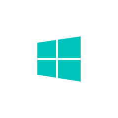 下载 Windows 版本
